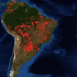 Incendios en la Amazonia según imágenes de la NASA