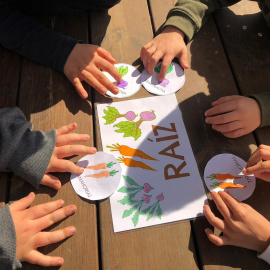  La alimentación sostenible en las aulas para garantizar un futuro