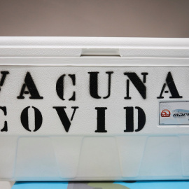 Un contenedor hermético con las vacunas de Pfizer-BioNTech y Moderna conbtra la COVID-19, en Granada. REUTERS/Jon Nazca