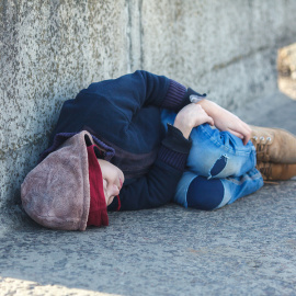 Roman Bodnarchuk / Shutterstock