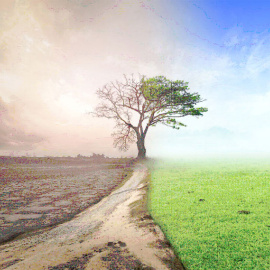 Mercantilización financiera y crisis climática