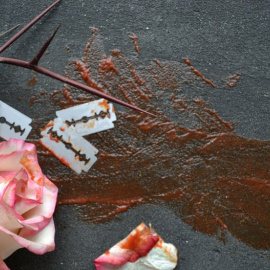 Marina Kap / Shutterstock