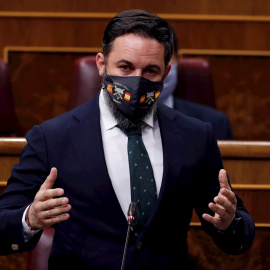 El líder de Vox, Santiago Abascal durante la sesión de control al Gobierno en el Congreso de los Diputados. EFE/J.J. Guillén