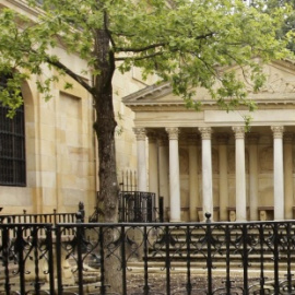 Fotografía de archivo del Árbol de Gernika. EFE/Alfredo Aldai