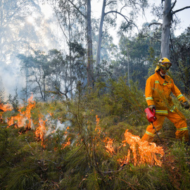  Los bomberos luchan contra el fuego en Victoria (Australia) este miércoles. Jason Edwards/REUTERS