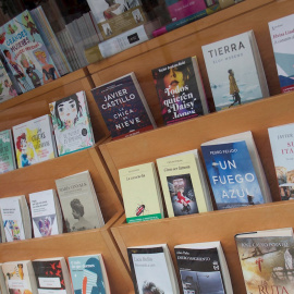 Libros en el escaparate de una librería. EFE / Salvador Sas