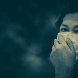 MIA Studio / Shutterstock