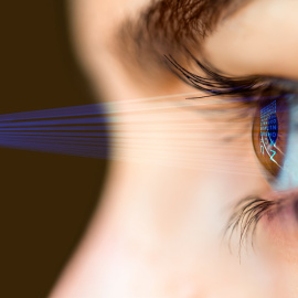  Muratart / Shutterstock