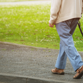 fongbeerredhot / shutterstock