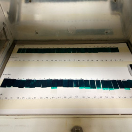 Muestras de pigmentos en diferentes estados de envejecimiento. Author provided