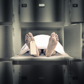 Gualtiero Boffi / Shutterstock