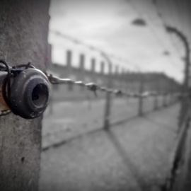 Detalle de la alambrada que rodea el campo de concentración de Auschwitz. SERGI TARRÉS