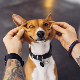  BublikHaus / Shutterstock