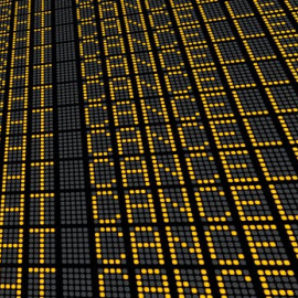 Shutterstock / phoelixDE