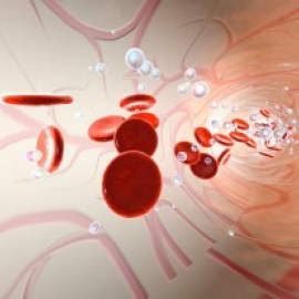 Recreación de moléculas de oxígeno y eritrocitos flotando en un vaso del torrente sanguíneo. Wikimedia Commons / Spectral-Design