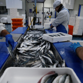 Trabajadores en una planta procesadora de pescado en el puerto de Boulogne-sur-Mer, Francia. REUTERS / Pascal Rossignol