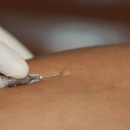 Shutterstock / enuengneng