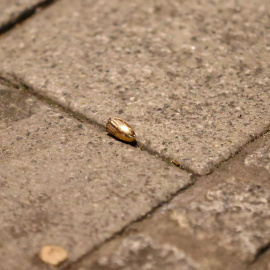 Una bala en el suelo después del tiroteo protagonizado por un ultraderechista en la localidad alemana de Hanau, cerca de Frankfurt. REUTERS / Kai Pfaffenbach