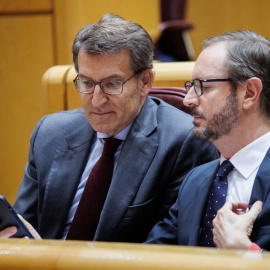 El presidente del PP, Alberto Núñez Feijóo, con el portavoz del Grupo Parlamentario Popular en el Senado, Javier Maroto. E.P./ Alejandro Martínez Vélez
