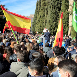 Partidarios de VOX con banderas en un mítin.- EFE/ J. M. García