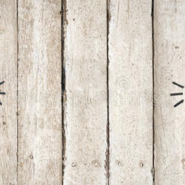 Oleksii Synelnykov / Shutterstock