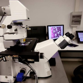 Imagen del Centro de Investigación del Cáncer (CIC), dependiente de la Universidad de Salamanca. EFE