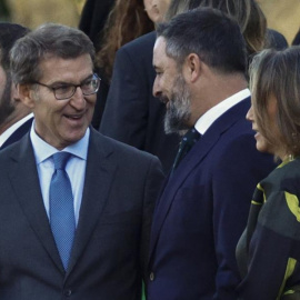 Feijóo y Abascal El líder popular, Alberto Nuñez Feijóo, y el responsable de Vox, Santiago Abascal, en el desfile del 12 de octubre.  EFE/Rodrigo Jiménez