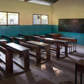  Shutterstock / VladKK