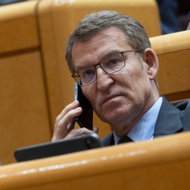 El presidente del Partido Popular, Alberto Núñez Feijóo, durante la sesión extraordinaria del Congreso, en el Palacio del Senado, a 18 de enero de 2024 / Eduardo Parra (Europa Press)