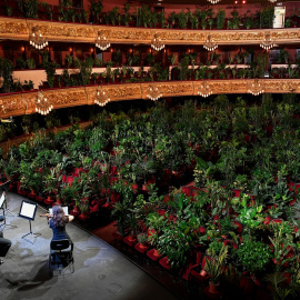 Las plantas ocupan el espacio de los espectadores en el Teatro del Liceu, de Barcelona, en el primer espectáculo en la sala tras la crisis del coronavirus. AFP/LLUIS GENE