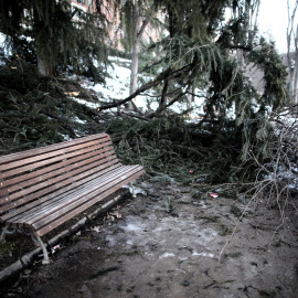 Ramas de árboles dañados por el paso del temporal Filomena en el Parque de la Fuente del Berro en el distrito de Ventas, en Madrid. R.P./Eduardo Parra