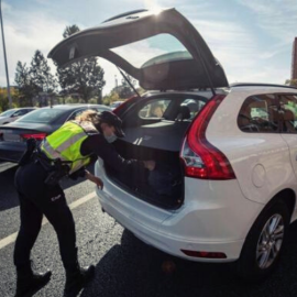 Diseño sin título-21