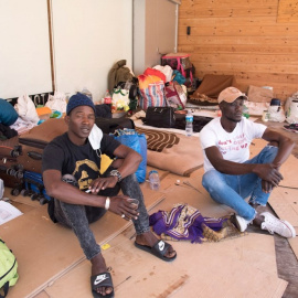 La Plataforma Fruita Amb Justícia Social denunció que unos 200 temporeros que llegan al Segrià para trabajar en la recogida de la campaña de fruta de verano | EFE