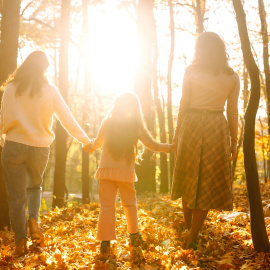  Shutterstock / maxbelchenko