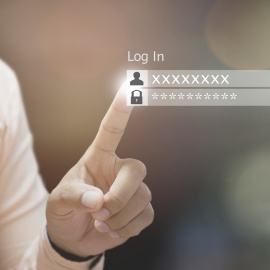 Shutterstock / e matkub2499