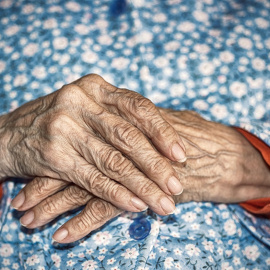 Shutterstock / Gitanna