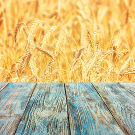 Shutterstock / rustamank