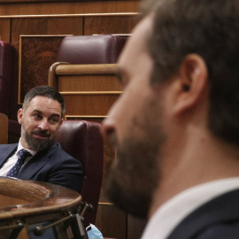 El líder de Vox, Santiago Abascal (i), y el líder del PP, Pablo Casado, durante un pleno de sesión de control al Gobierno. E.P./Eduardo Parra