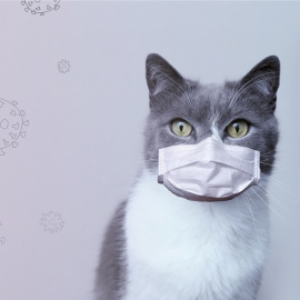 Shutterstock / Natalya Chumak