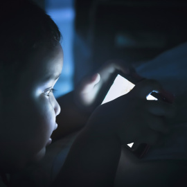  Shutterstock / Lunatictm