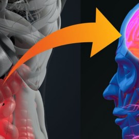 Captura de pantalla 2020-12-04 a las 17.55.31