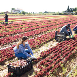 Shutterstock / Iakov Filimonov