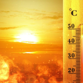  Shutterstock / leolintang