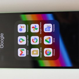 Shutterstock / Daria Gromova