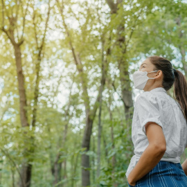 Shutterstock / Maridav