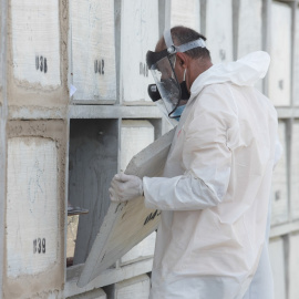 Shutterstock / Photocarioca