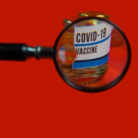  Shutterstock / Anze Furlan