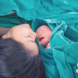 Shutterstock / LittleDogKorat