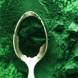  Shutterstock / maramorosz