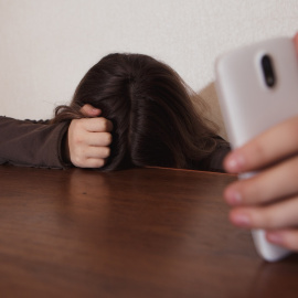  Shutterstock / Burdun Iliya